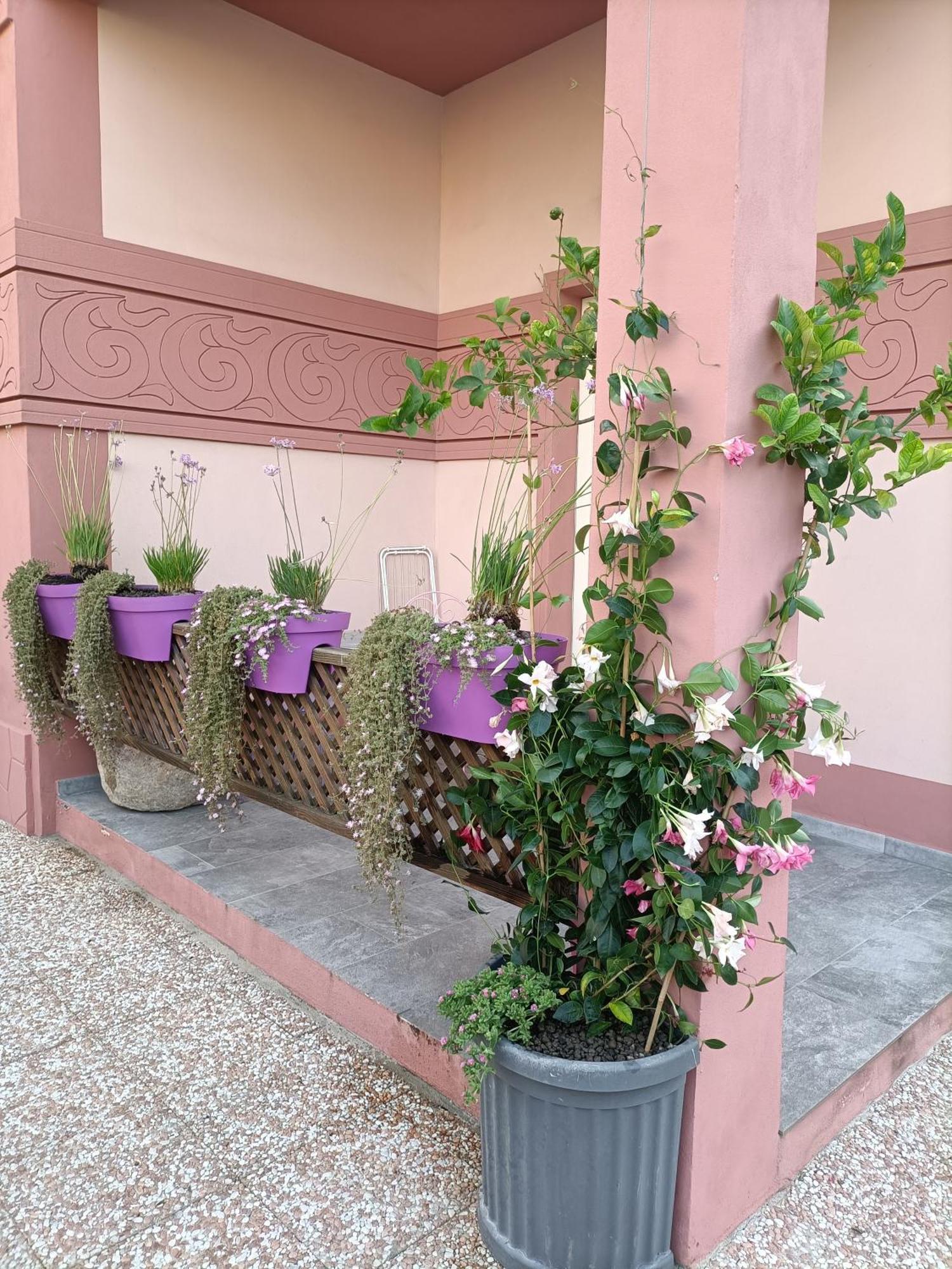 Maison Belle Epoque & Suites Oristano Zimmer foto